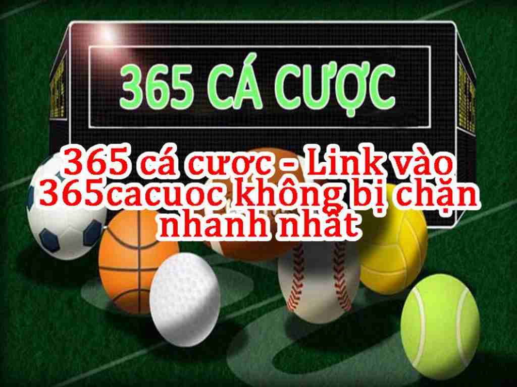 365cacuoc - Link Vào Cacuoc365 mới nhất hiện nay
